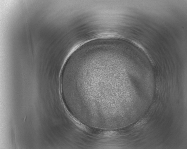 X0000058121467200510071926