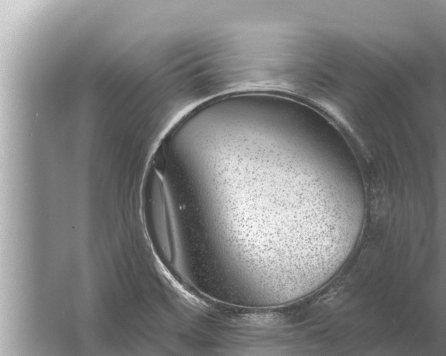 X0000058121468200510071926