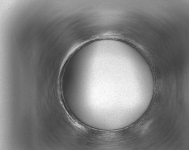 X0000058121470200510071926