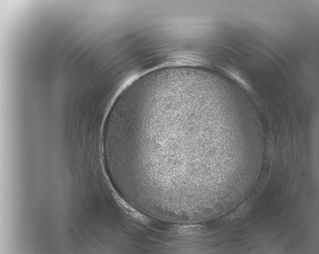 X0000058121471200510071926