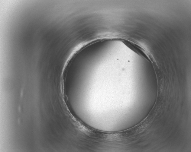 X0000058121472200510071926