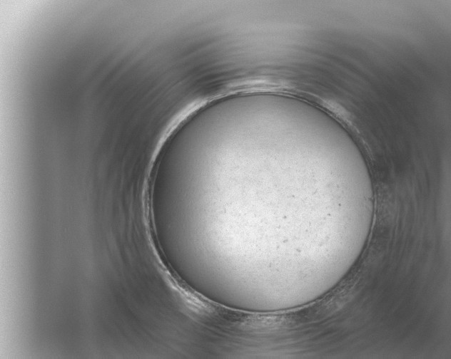 X0000058121474200510071926