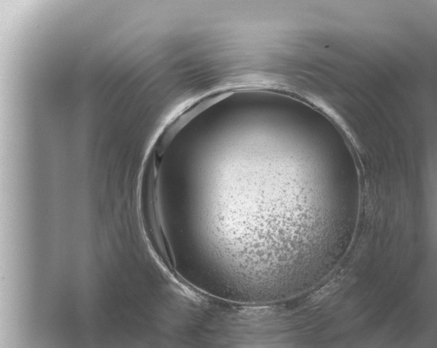 X0000058121477200510071926