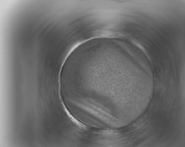 X0000058121479200510071926