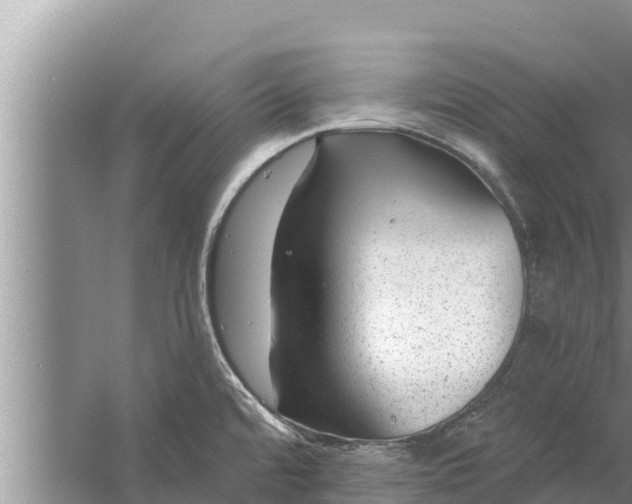 X0000058121480200510071926