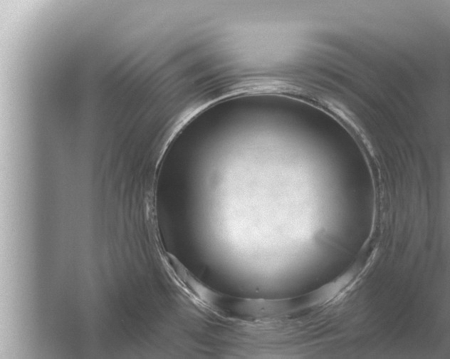 X0000058121481200510071926