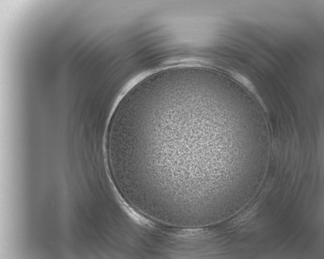 X0000058121482200510071926