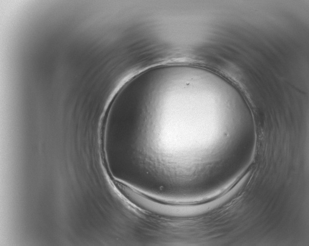 X0000058121483200510071926