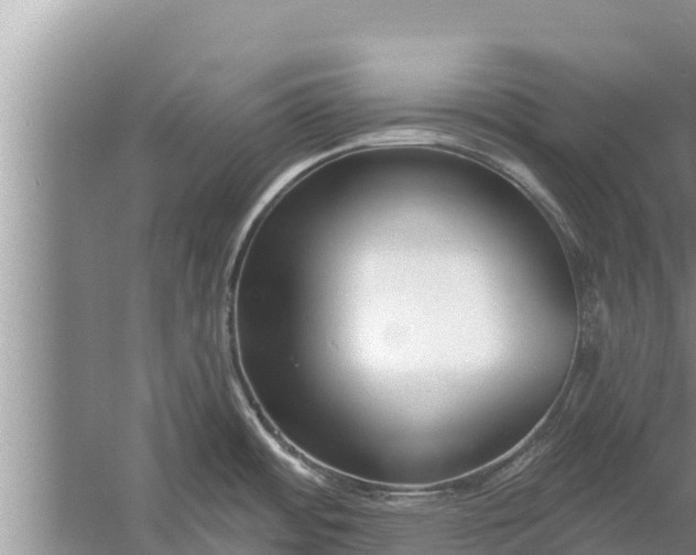 X0000058121484200510071926