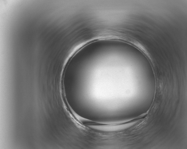 X0000058121485200510071926