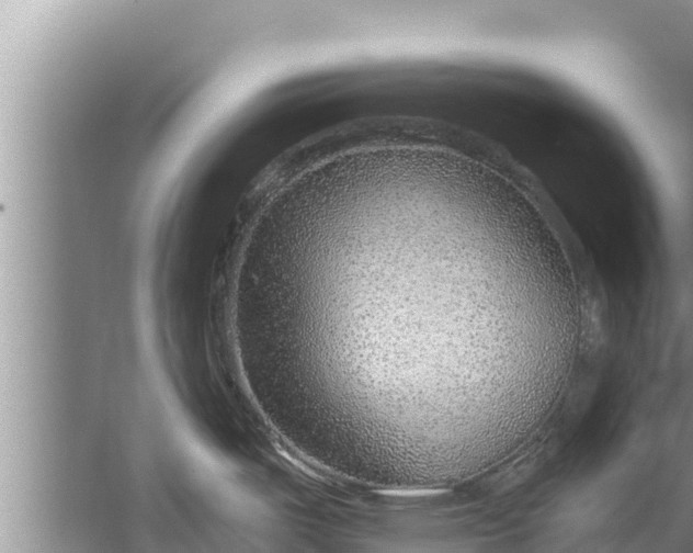 X0000058121487200510071926