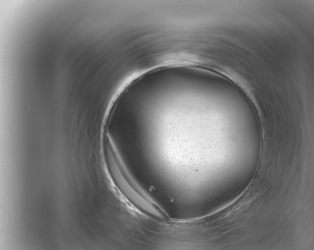 X0000058121488200510071926