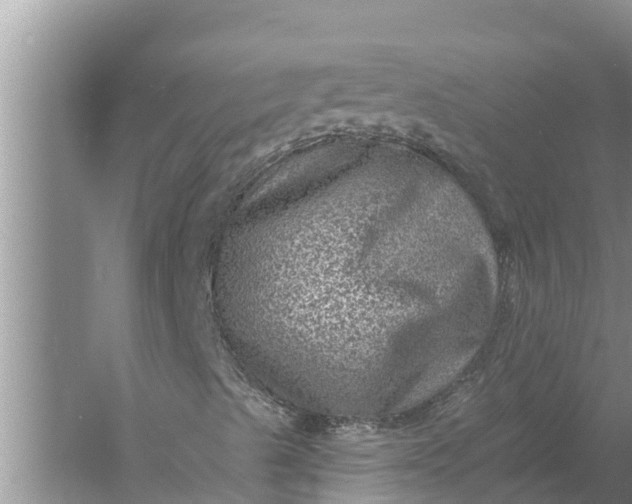 X0000058121489200510071925