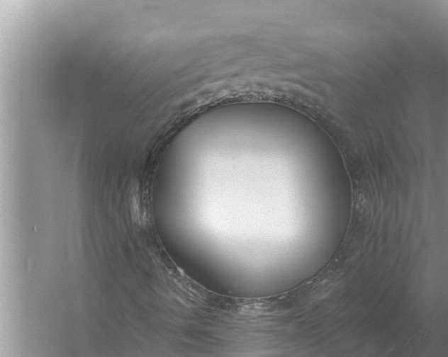 X0000058121490200510071925