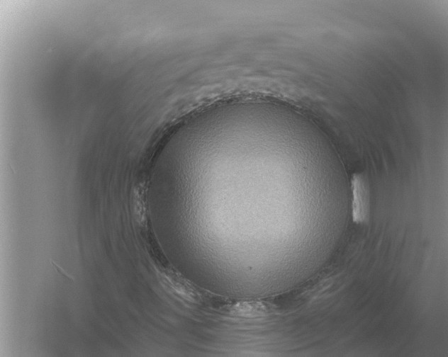 X0000058121491200510071925