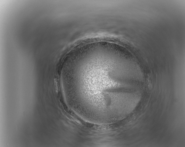 X0000058121493200510071925