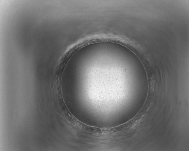 X0000058121494200510071925