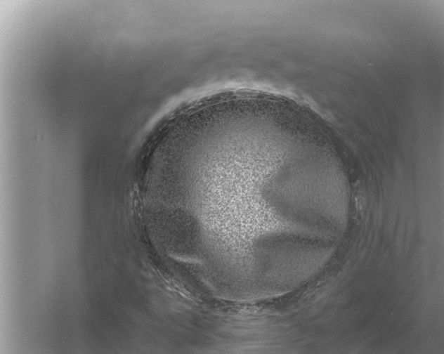 X0000058121495200510071925