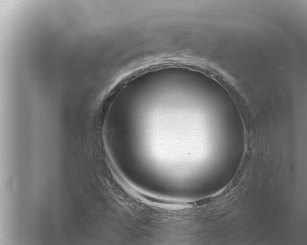 X0000058121496200510071925