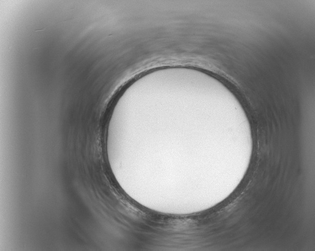 X0000058121498200510071925