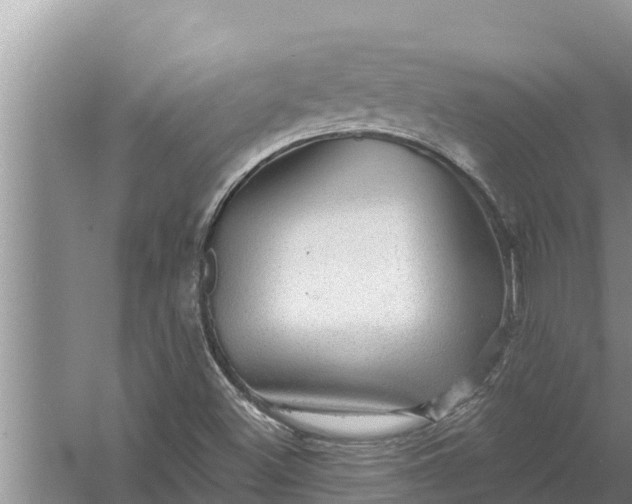 X0000058121500200510071925