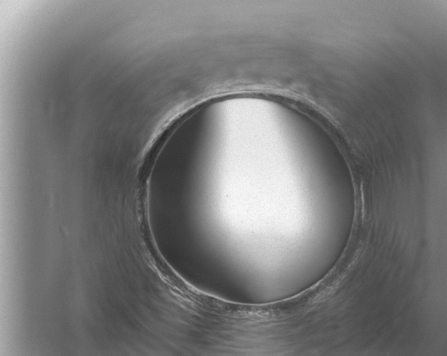 X0000058121501200510071925