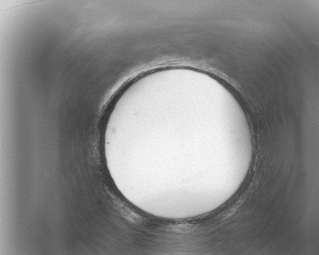 X0000058121502200510071925