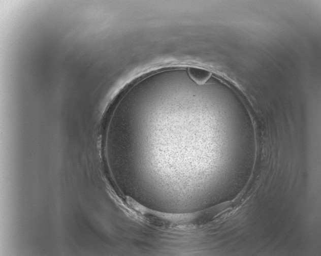 X0000058121503200510071925