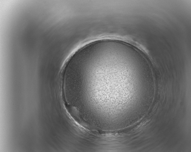 X0000058121504200510071925