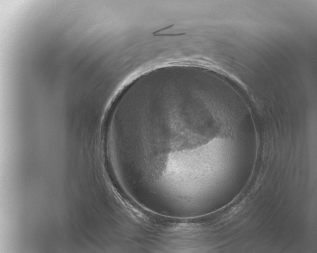 X0000058121506200510071925