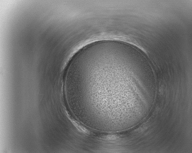 X0000058121507200510071925