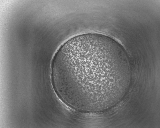 X0000058121508200510071926