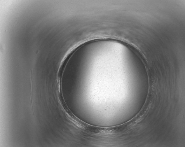 X0000058121509200510071926