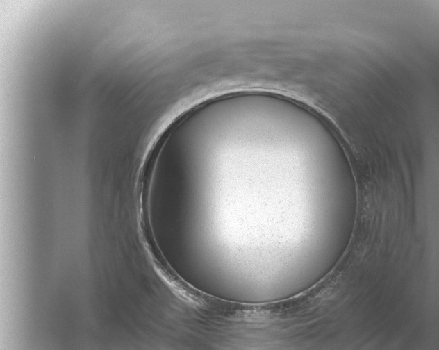 X0000058121511200510071926