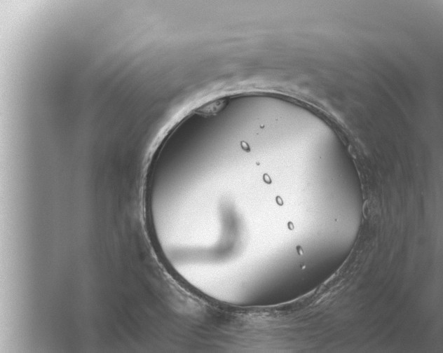 X0000058121512200510071926