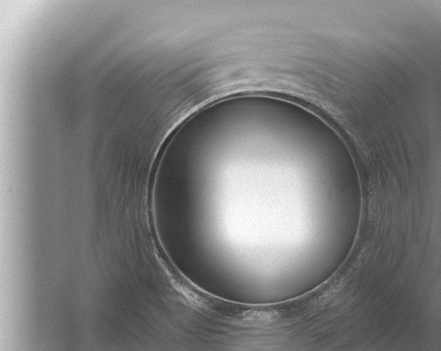 X0000058121513200510071926