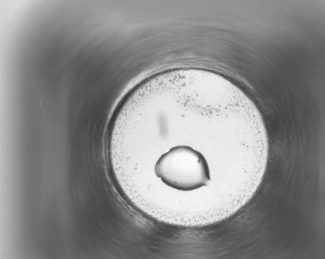 X0000058121514200510071926