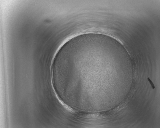 X0000058121515200510071926