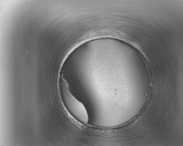 X0000058121516200510071926