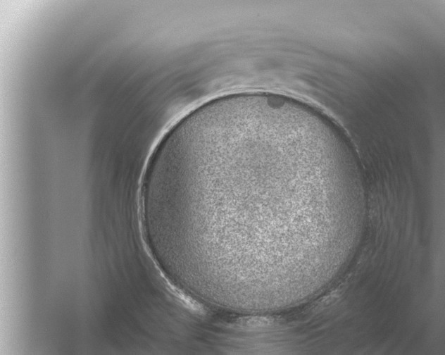 X0000058121517200510071926