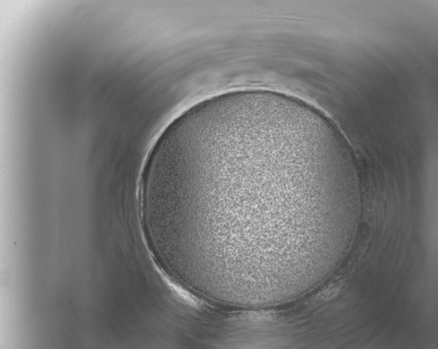 X0000058121519200510071926