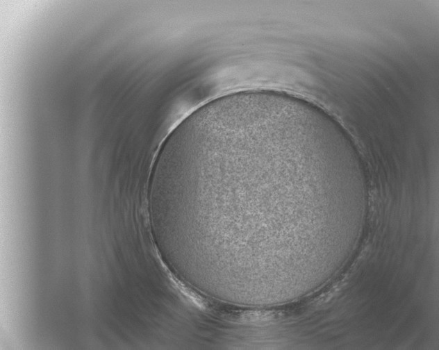 X0000058121521200510071926