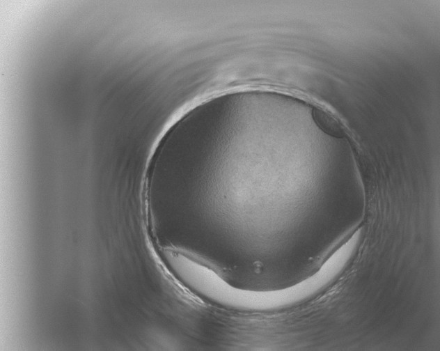 X0000058121522200510071926