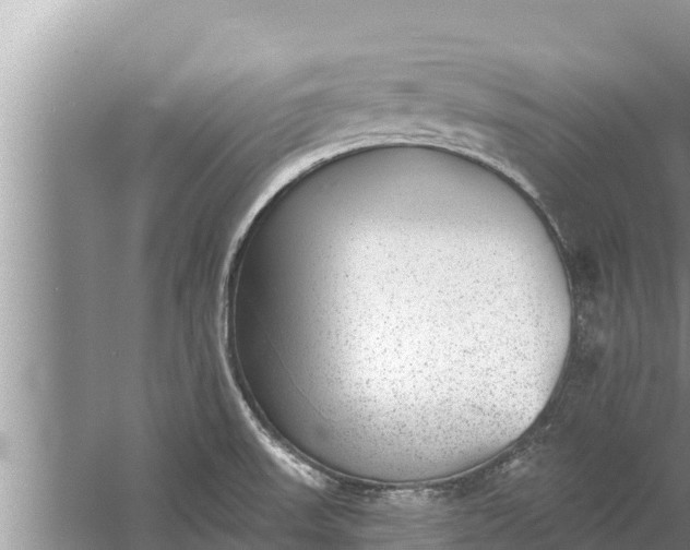 X0000058121523200510071926