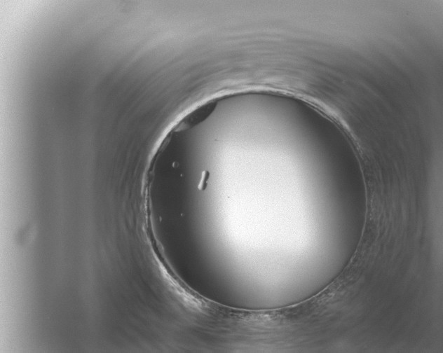 X0000058121524200510071926