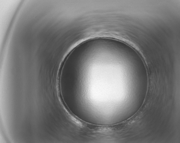 X0000058121525200510071926