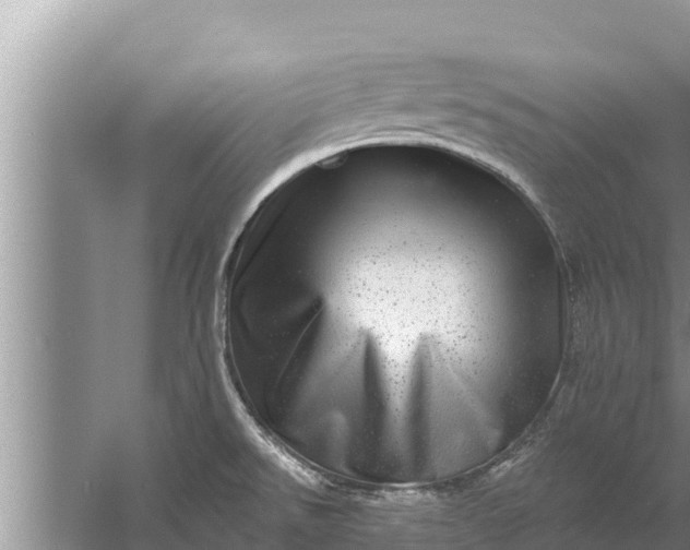 X0000058121526200510071926