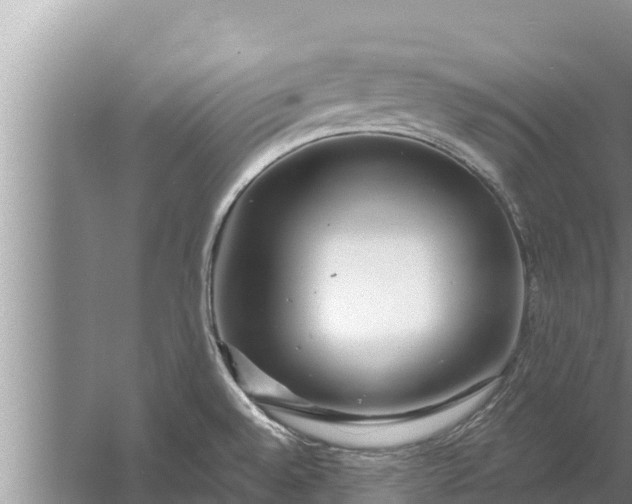 X0000058121528200510071926