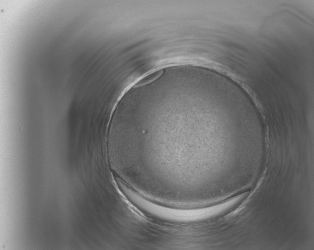 X0000058121529200510071926