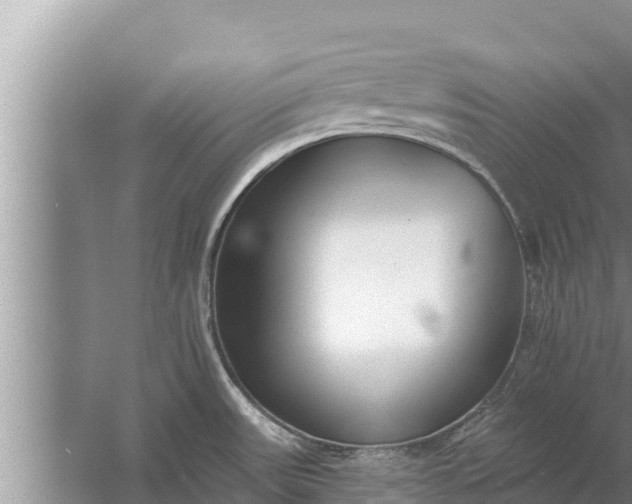 X0000058121531200510071926